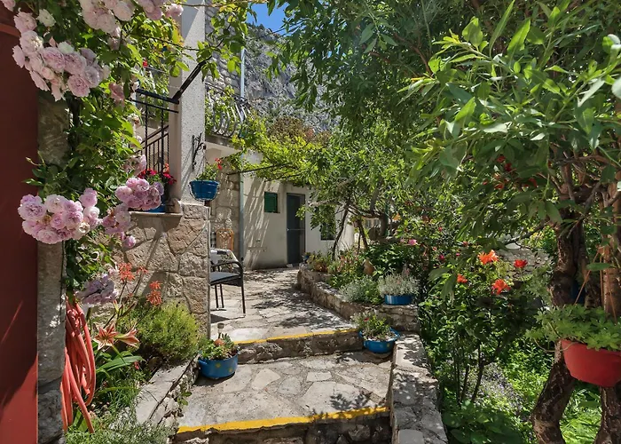House Olive Holiday home Tucepi
