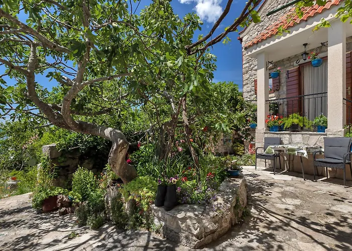 House Olive Holiday home