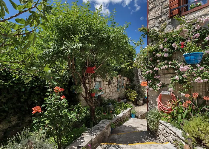 Holiday home House Olive *