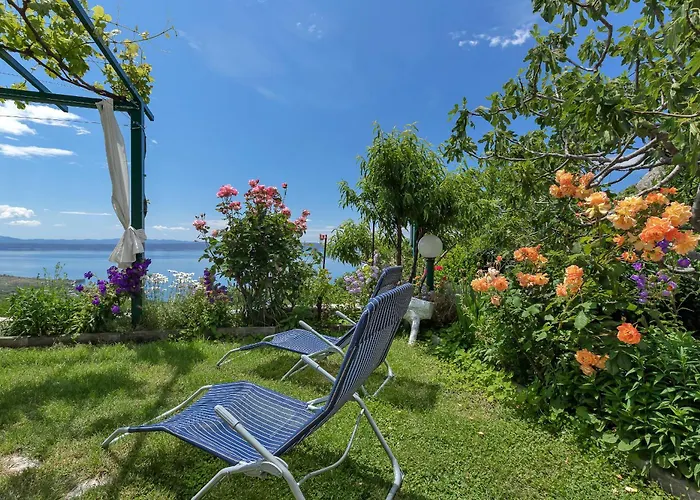 House Olive Holiday home *