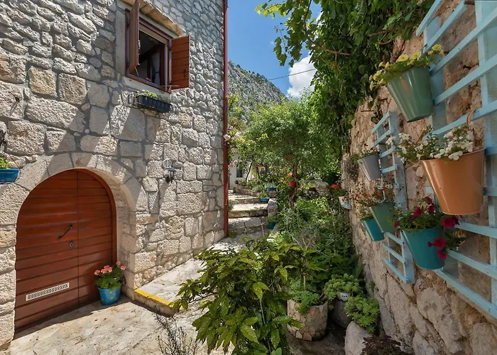 House Olive Holiday home