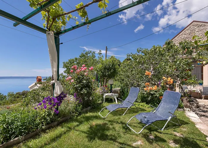 House Olive Holiday home Tucepi