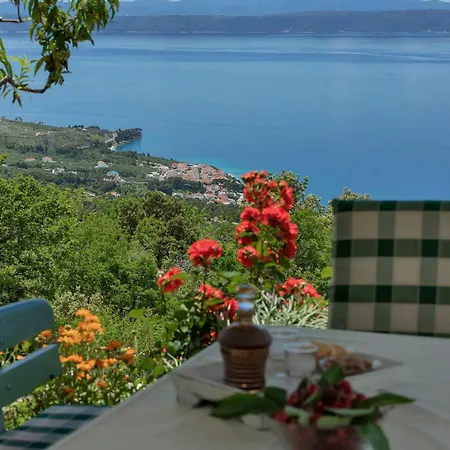House Olive Hébergement de vacances Tučepi