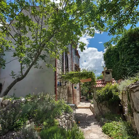 Hébergement de vacances House Olive