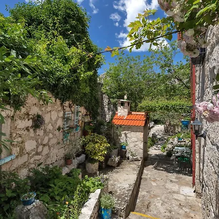 House Olive Tučepi