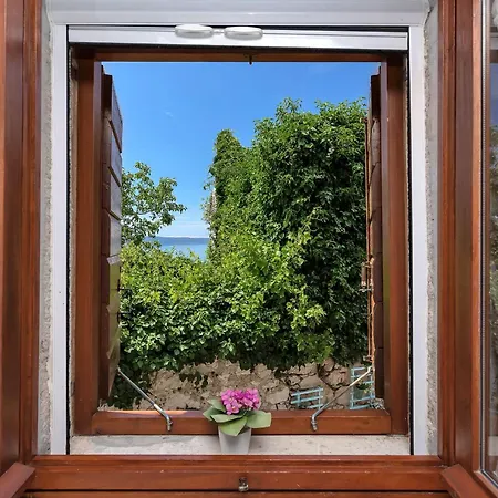 Hébergement de vacances House Olive *