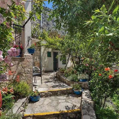 House Olive Hébergement de vacances Tučepi