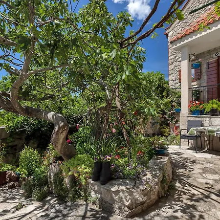 House Olive Hébergement de vacances