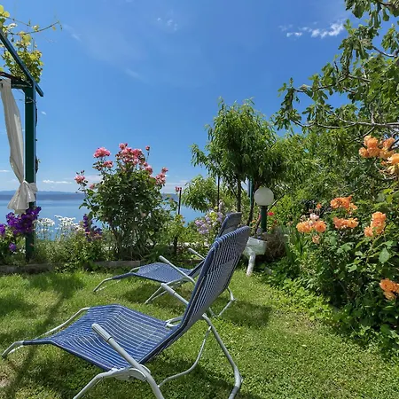 House Olive Hébergement de vacances *