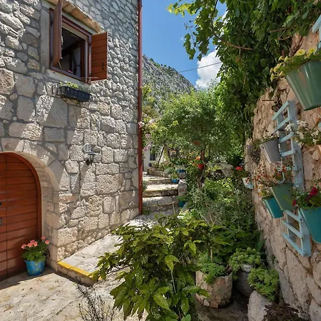 House Olive Hébergement de vacances