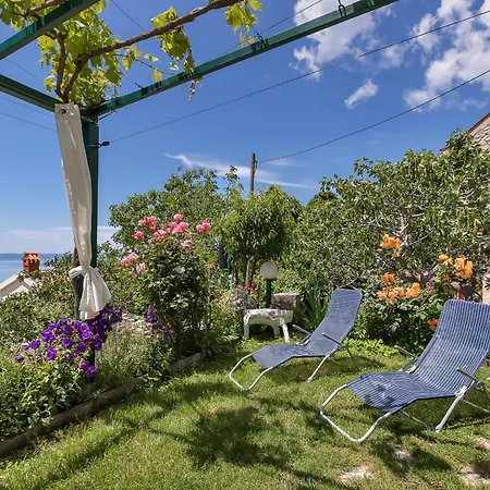 House Olive Hébergement de vacances Tučepi